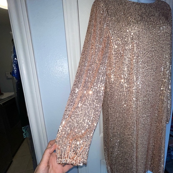 Preston & York Rosa Jewel Neck Long Blouson Sleeve Sequin Dress. Size 8.NWT! - Picture 7 of 12